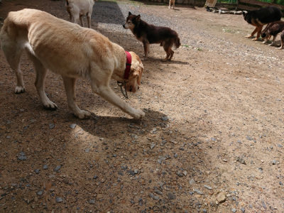 f:id:roukenhome-ann:20190617190445j:plain
