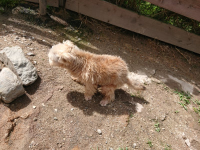 f:id:roukenhome-ann:20190617190454j:plain