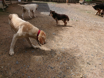 f:id:roukenhome-ann:20190617190507j:plain