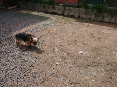 f:id:roukenhome-ann:20190617190519j:plain
