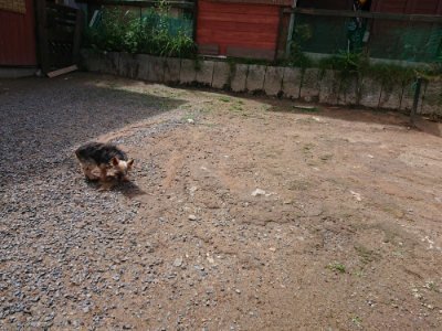 f:id:roukenhome-ann:20190617190542j:plain