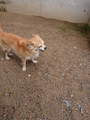 f:id:roukenhome-ann:20190617190548j:plain