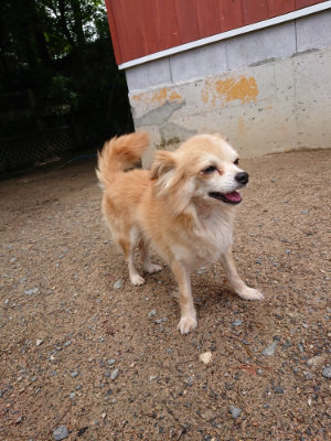 f:id:roukenhome-ann:20190617190625j:plain