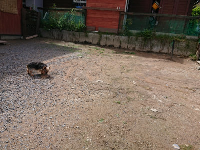 f:id:roukenhome-ann:20190617190708j:plain