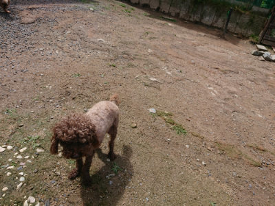 f:id:roukenhome-ann:20190617190732j:plain