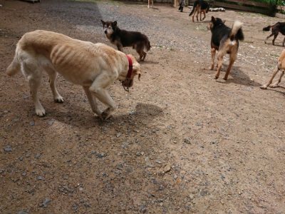 f:id:roukenhome-ann:20190617190840j:plain