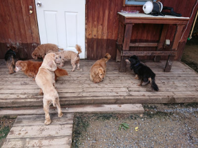 f:id:roukenhome-ann:20190617190943j:plain