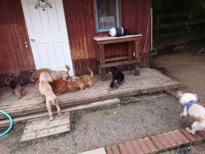 f:id:roukenhome-ann:20190617191009j:plain