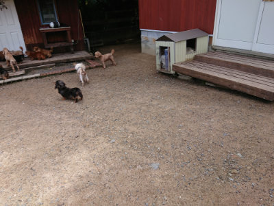 f:id:roukenhome-ann:20190617191023j:plain