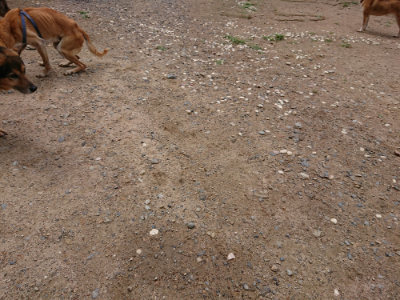 f:id:roukenhome-ann:20190617191036j:plain