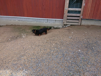 f:id:roukenhome-ann:20190617191046j:plain