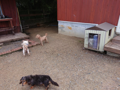 f:id:roukenhome-ann:20190617191111j:plain