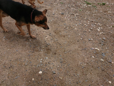 f:id:roukenhome-ann:20190617191118j:plain