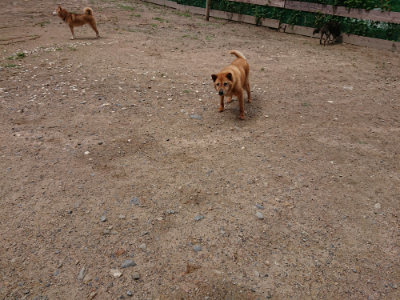 f:id:roukenhome-ann:20190617191221j:plain