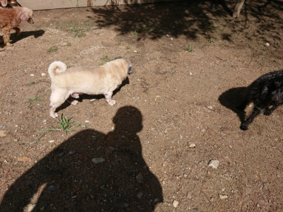 f:id:roukenhome-ann:20190617191231j:plain