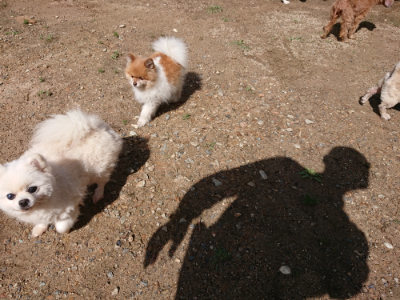 f:id:roukenhome-ann:20190617191414j:plain