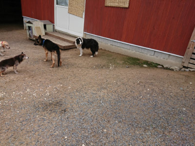 f:id:roukenhome-ann:20190617191424j:plain