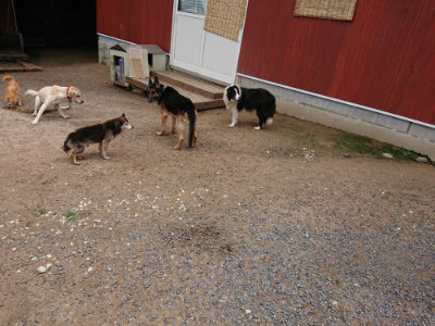 f:id:roukenhome-ann:20190617191449j:plain