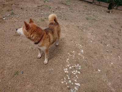 f:id:roukenhome-ann:20190617191610j:plain