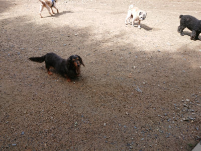 f:id:roukenhome-ann:20190617191824j:plain