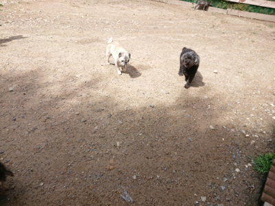 f:id:roukenhome-ann:20190617191828j:plain