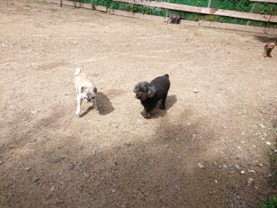 f:id:roukenhome-ann:20190617191844j:plain