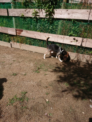 f:id:roukenhome-ann:20190617191850j:plain