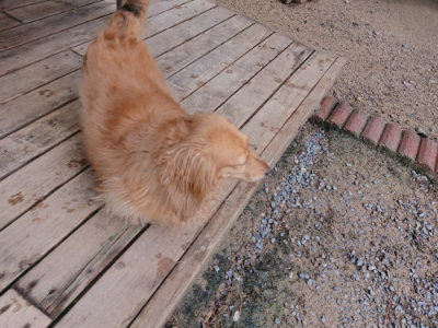 f:id:roukenhome-ann:20190617191902j:plain