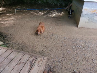 f:id:roukenhome-ann:20190617191907j:plain