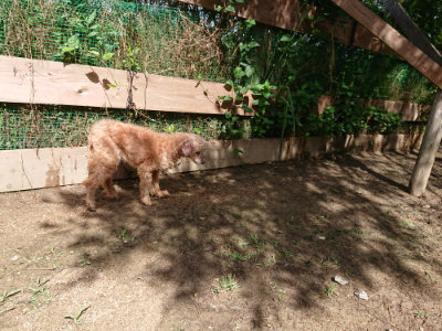 f:id:roukenhome-ann:20190617192004j:plain