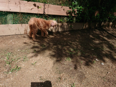 f:id:roukenhome-ann:20190617192025j:plain