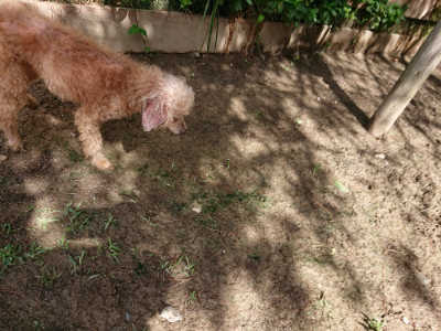 f:id:roukenhome-ann:20190617192030j:plain