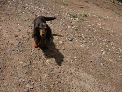 f:id:roukenhome-ann:20190617192107j:plain