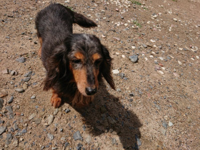 f:id:roukenhome-ann:20190617192112j:plain