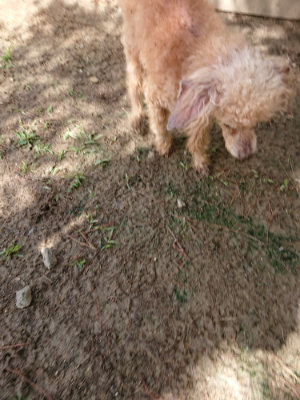 f:id:roukenhome-ann:20190617192117j:plain