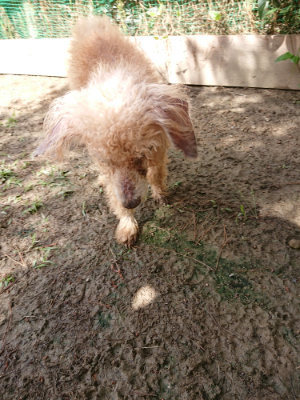 f:id:roukenhome-ann:20190617192122j:plain