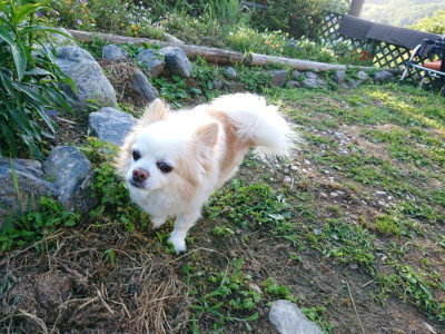 f:id:roukenhome-ann:20190617194640j:plain