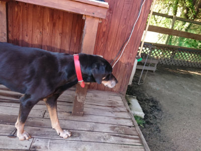 f:id:roukenhome-ann:20190617194828j:plain
