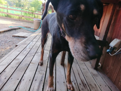 f:id:roukenhome-ann:20190617194831j:plain