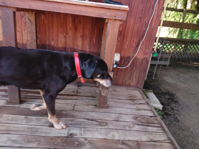 f:id:roukenhome-ann:20190617194845j:plain