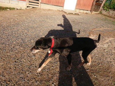 f:id:roukenhome-ann:20190617194902j:plain