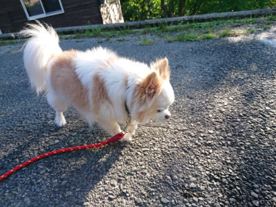 f:id:roukenhome-ann:20190618065045j:plain