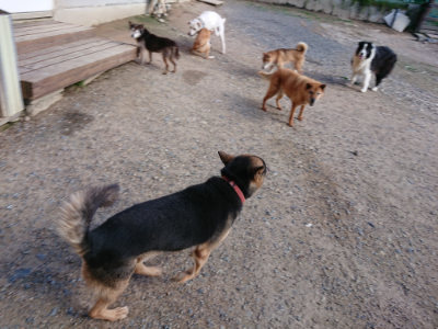 f:id:roukenhome-ann:20190618070031j:plain