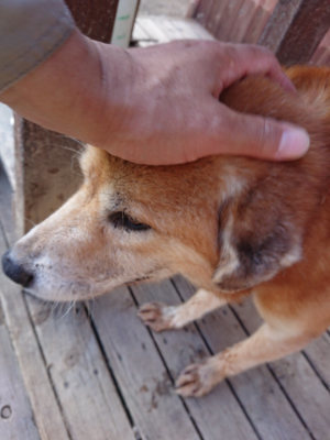 f:id:roukenhome-ann:20190618070416j:plain