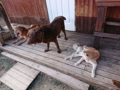 f:id:roukenhome-ann:20190618070439j:plain