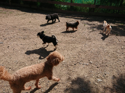 f:id:roukenhome-ann:20190618070631j:plain