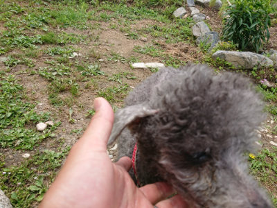 f:id:roukenhome-ann:20190618143624j:plain