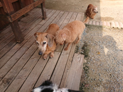 f:id:roukenhome-ann:20190619183732j:plain