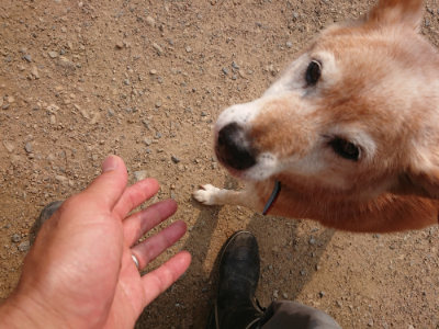 f:id:roukenhome-ann:20190619184155j:plain