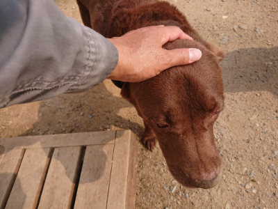 f:id:roukenhome-ann:20190619184219j:plain